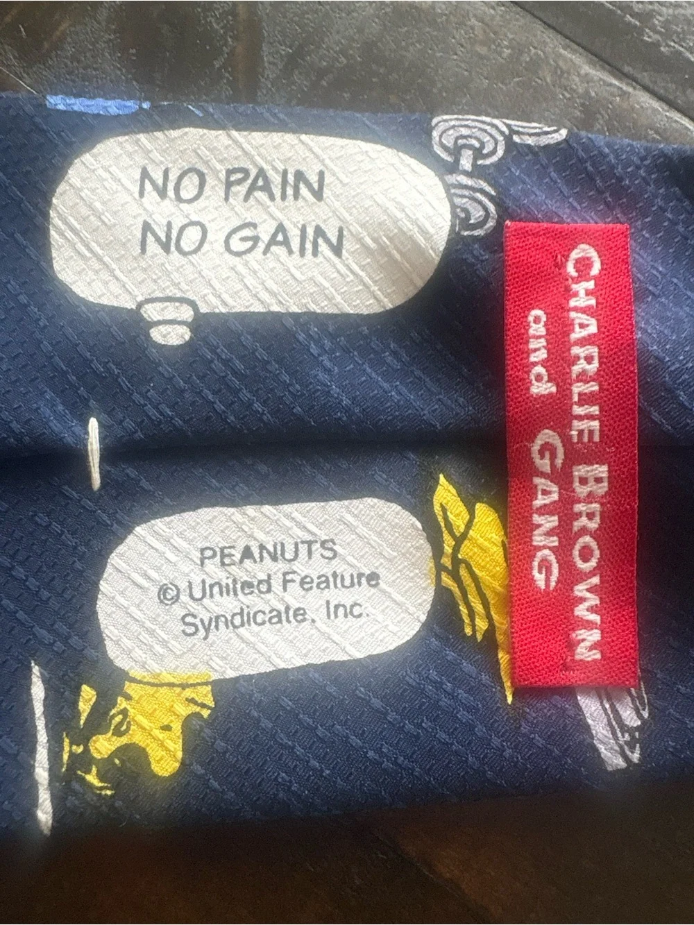 Vintage Peanuts Snoopy Charlie Brown Gym Workout Necktie